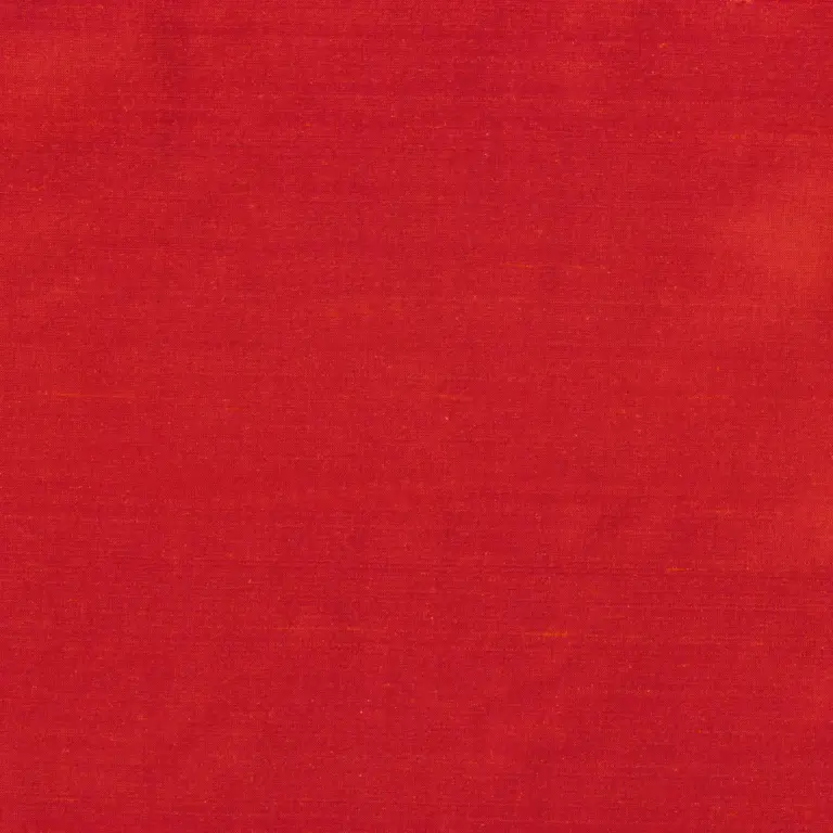 Fire 1556