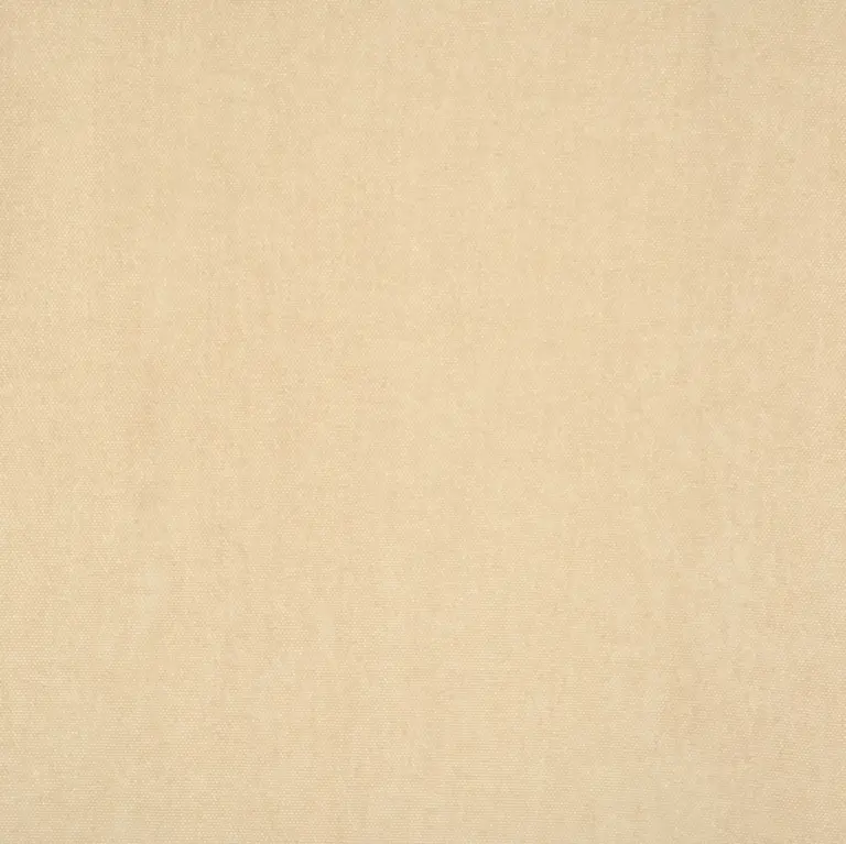 Ivory 008