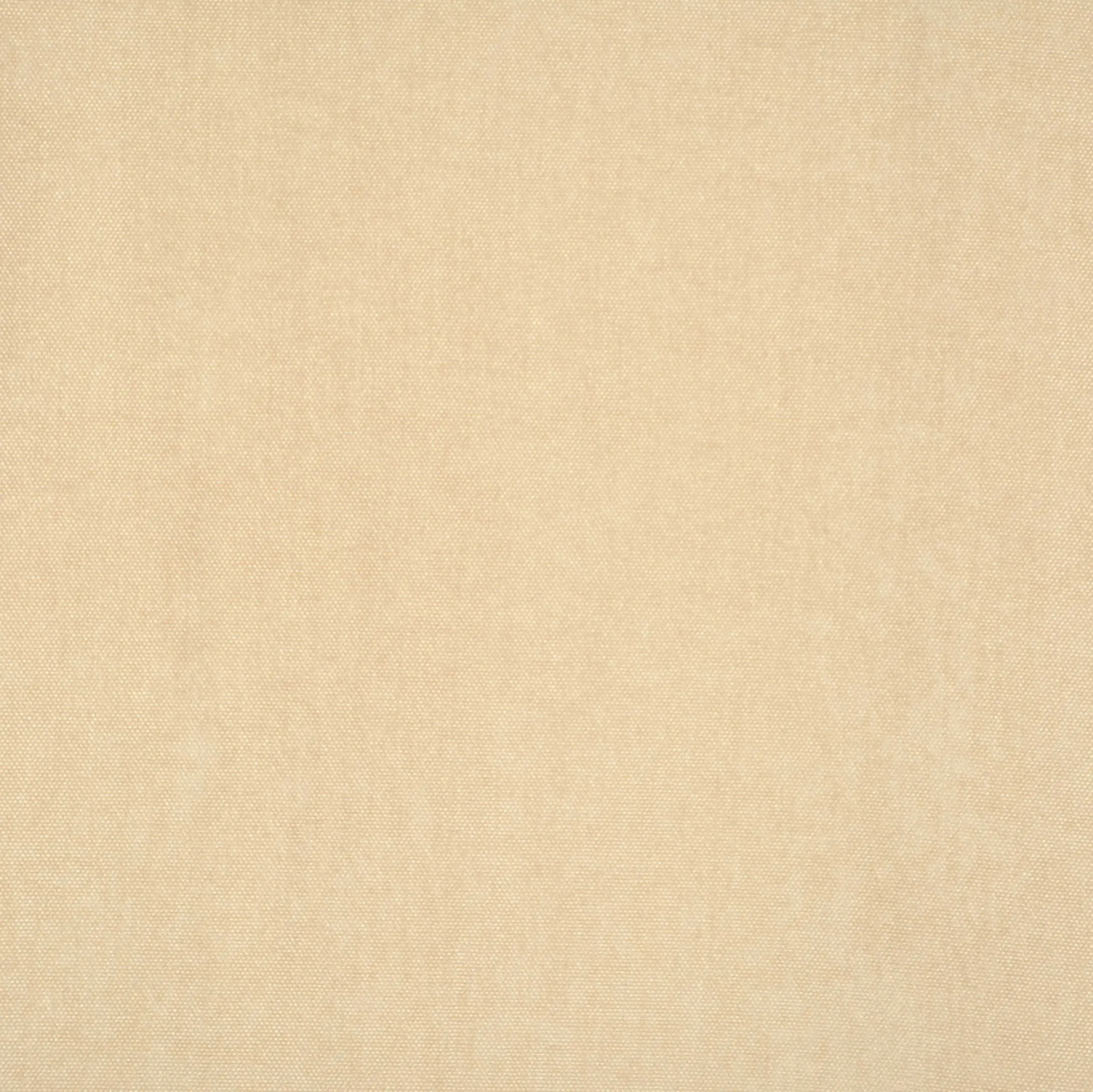 Ivory 008 | Toudor