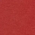 Raspberry 545 | Saute