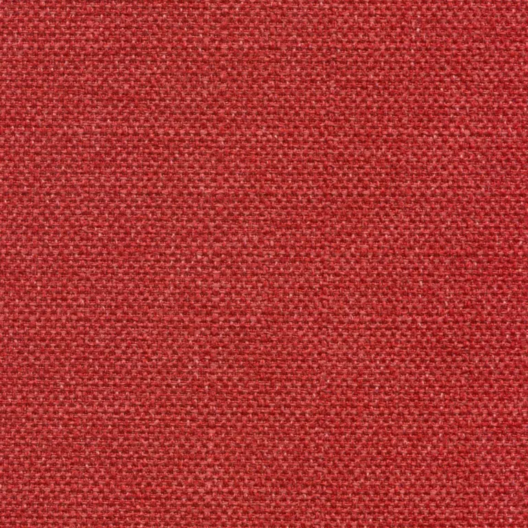 Raspberry 545