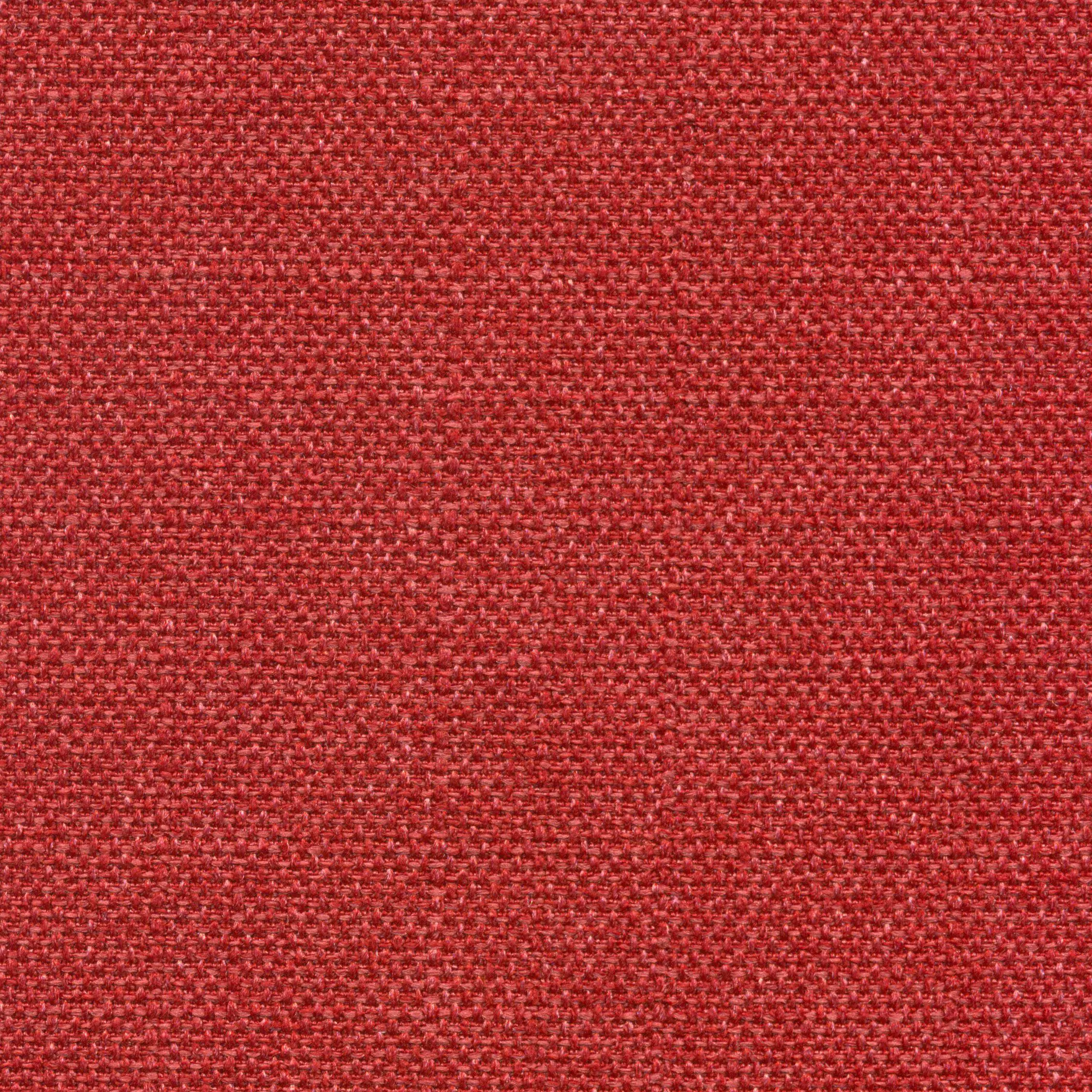 Raspberry 545 | Saute