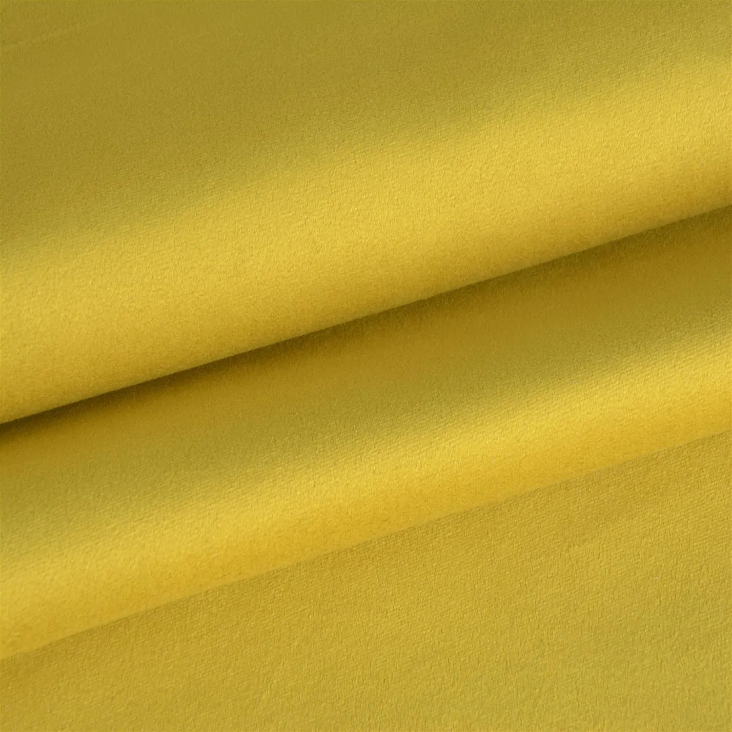 Sesame 01 | Scot