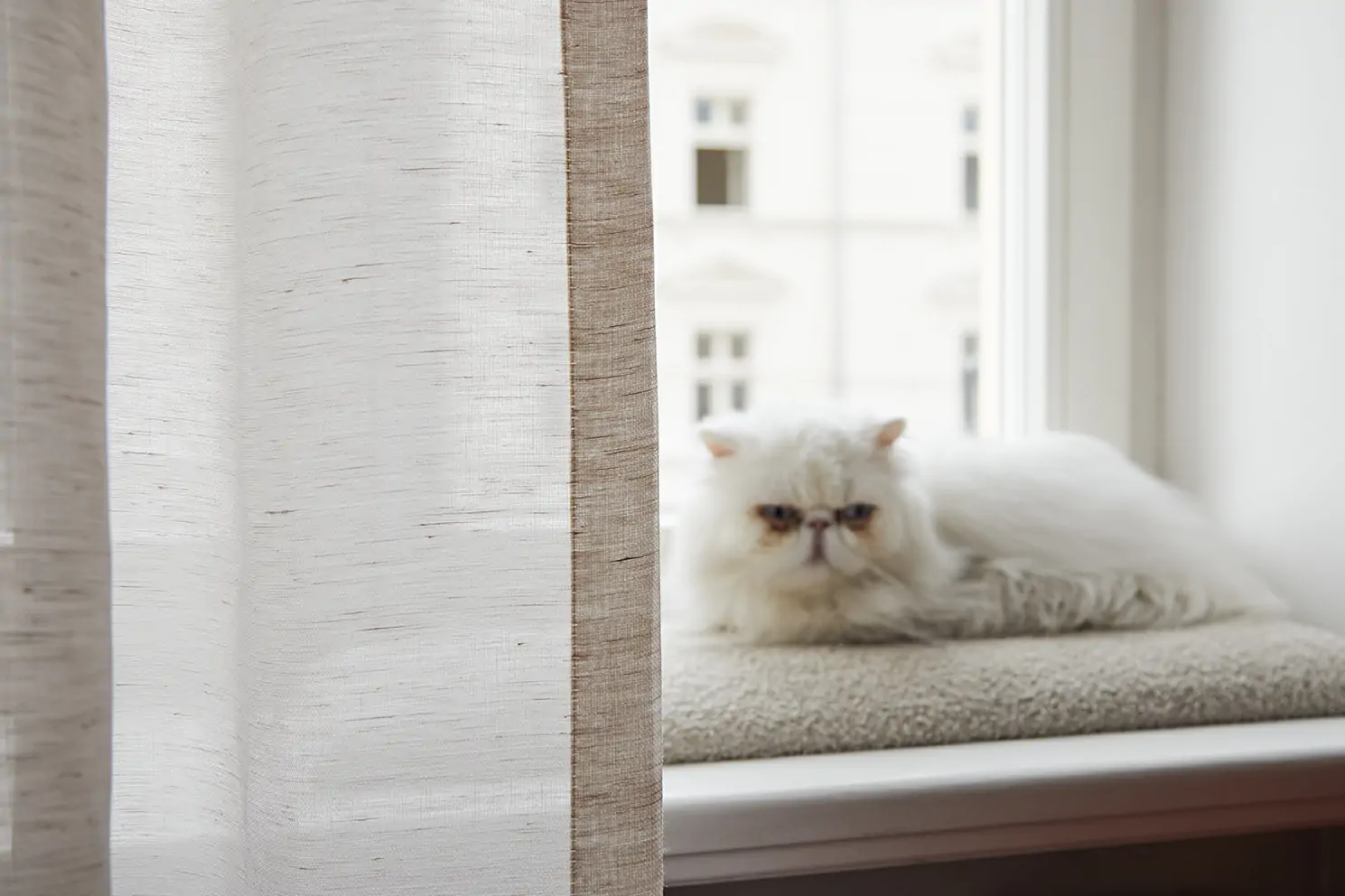 White 01 | Sabbia
