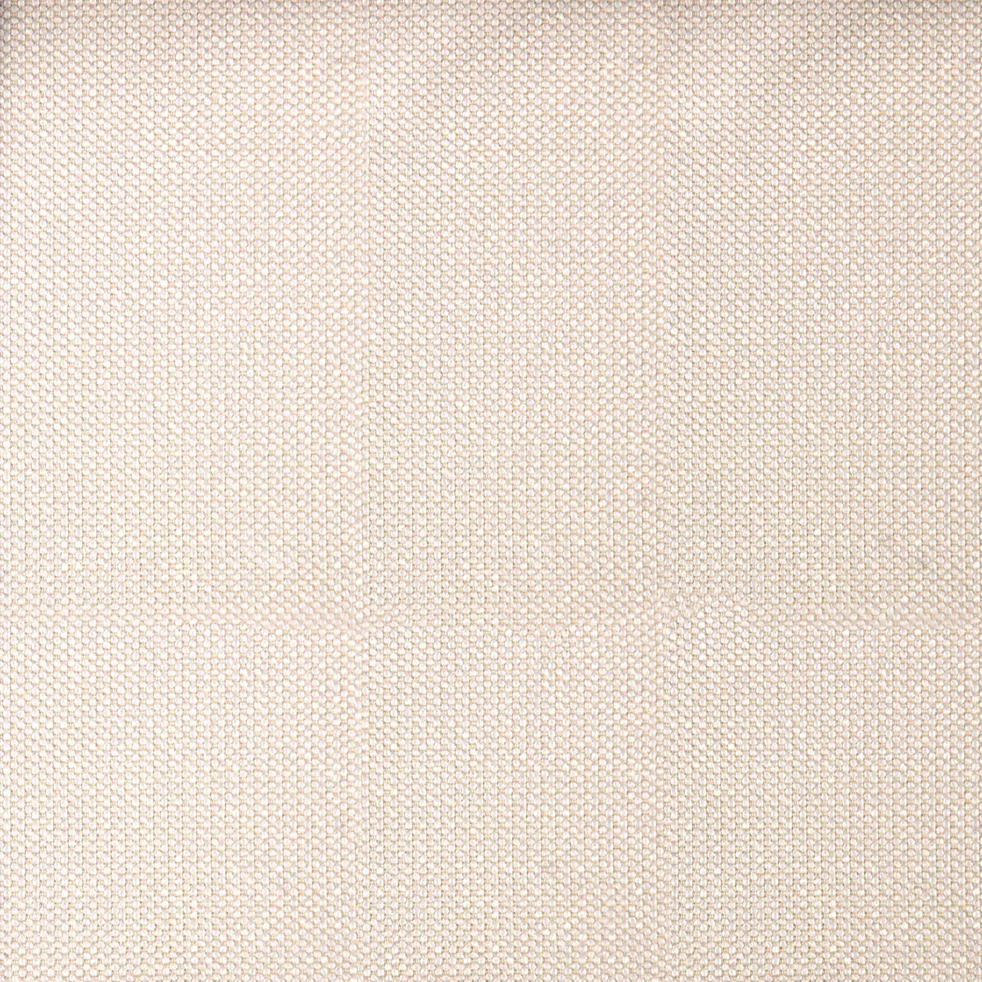 Beige 081 | Premier