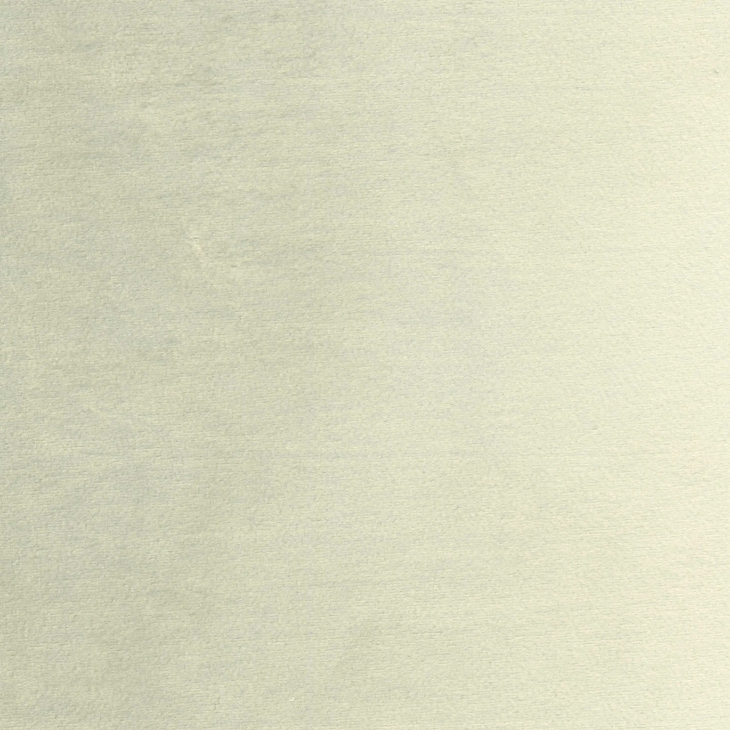 Dove 03 | Jason