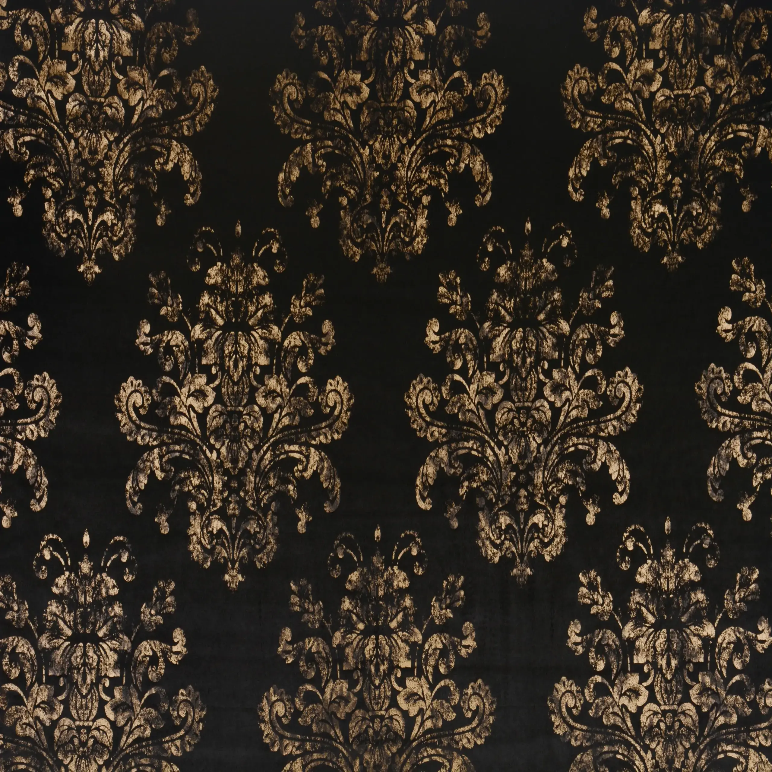 Onyx 05 | Samina