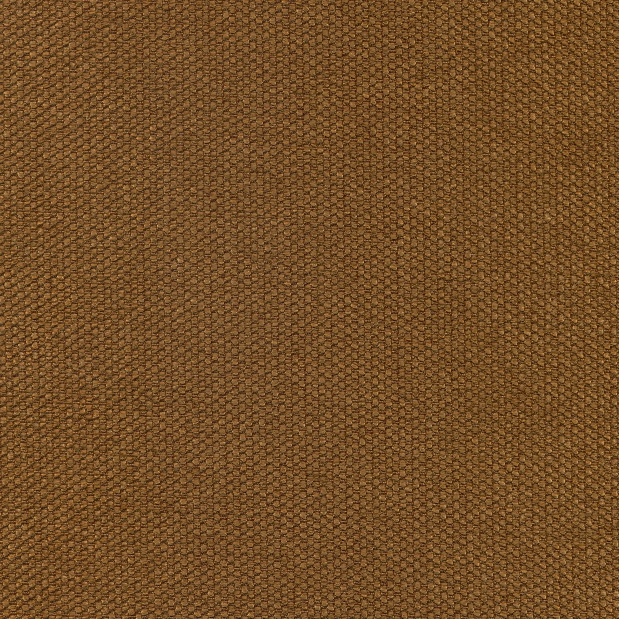 Almond 21 | Onyx