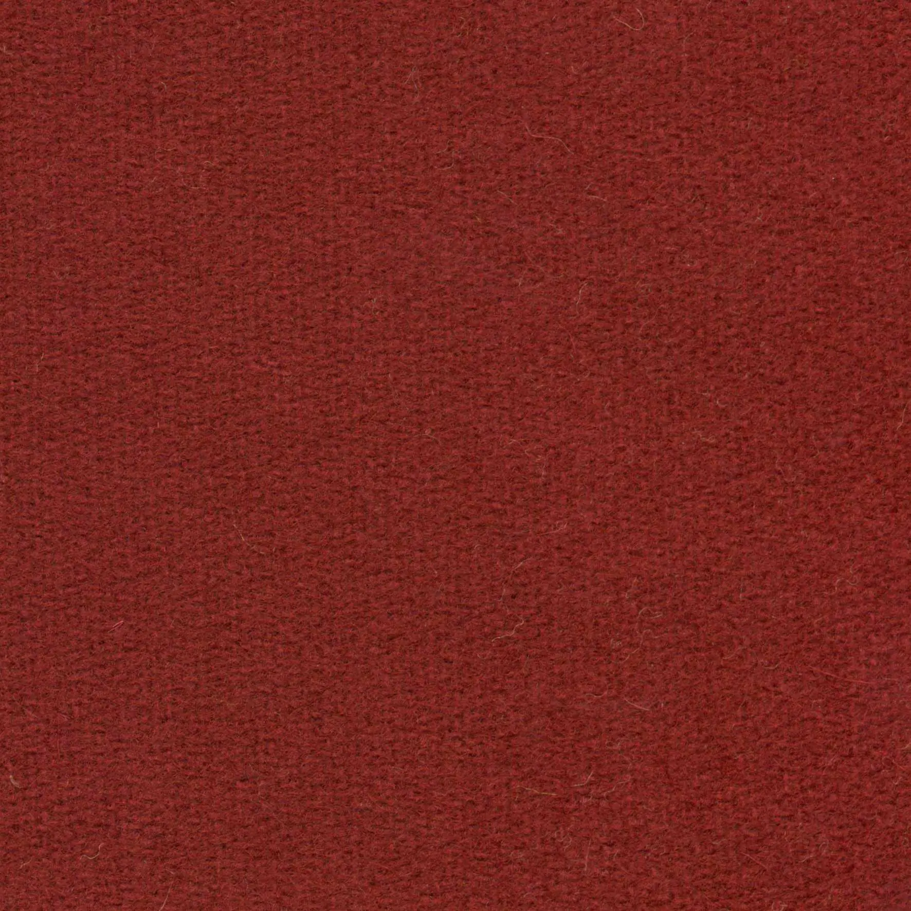 Vino H478 | Savoy FR