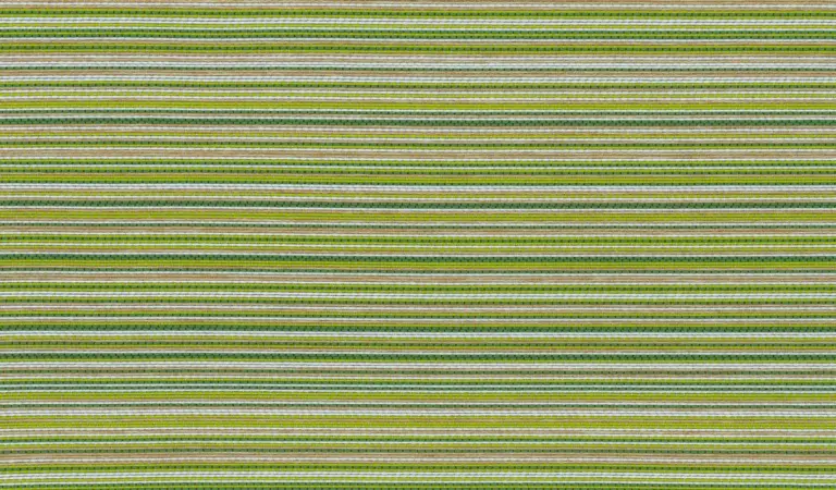 Lime 1011