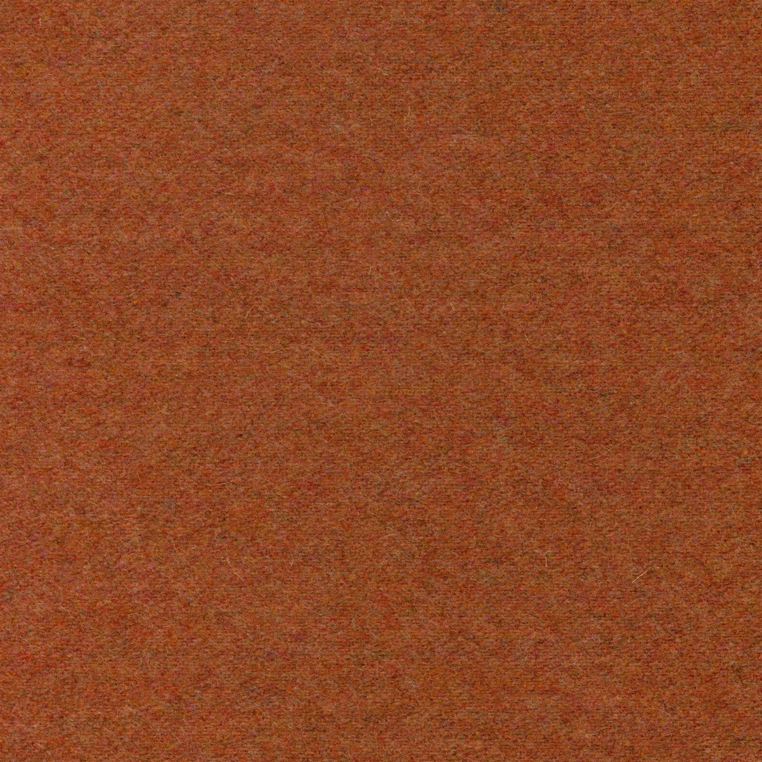 Rust 33 | Wool