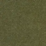 Khaki 419 | Savoy FR