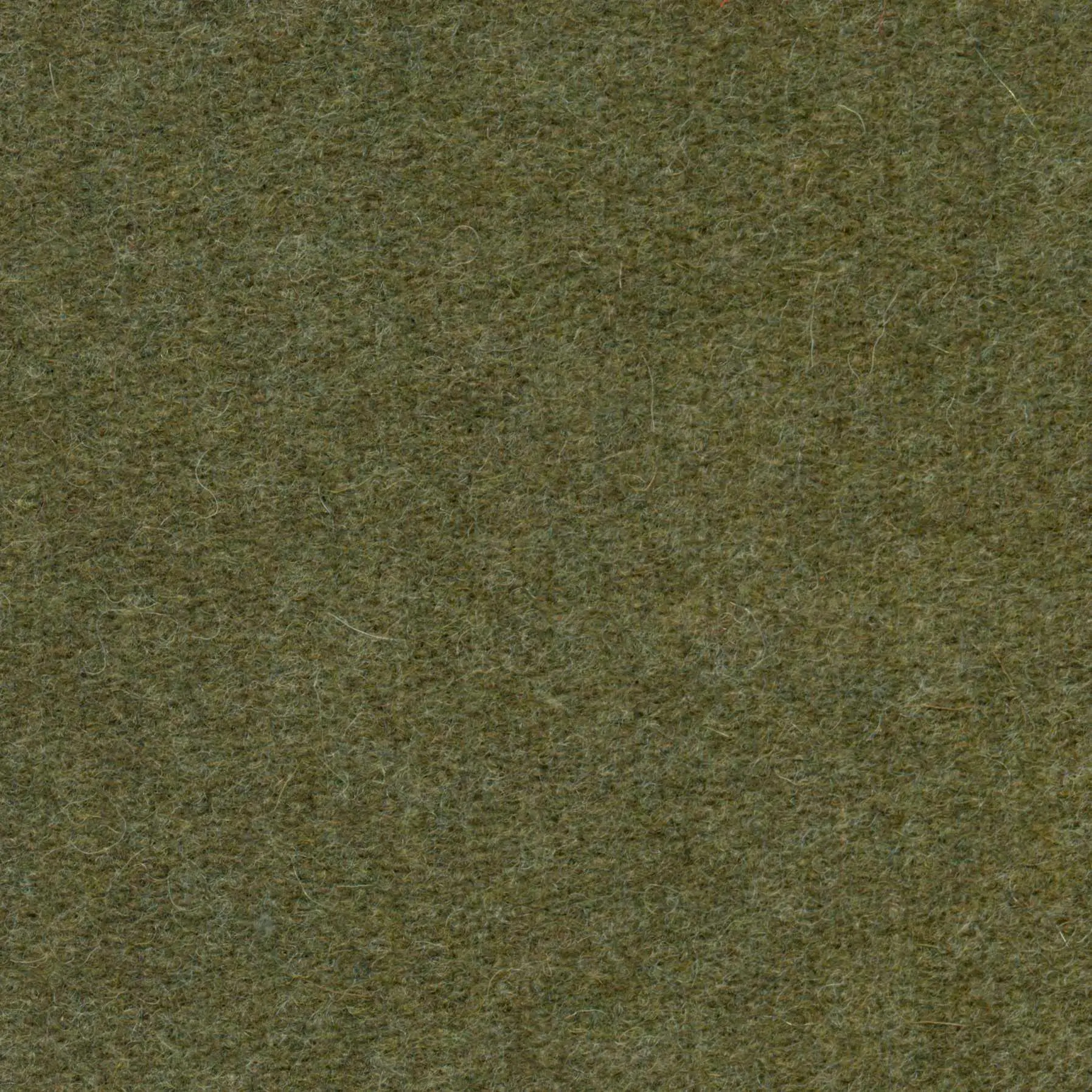 Khaki 419 | Savoy FR