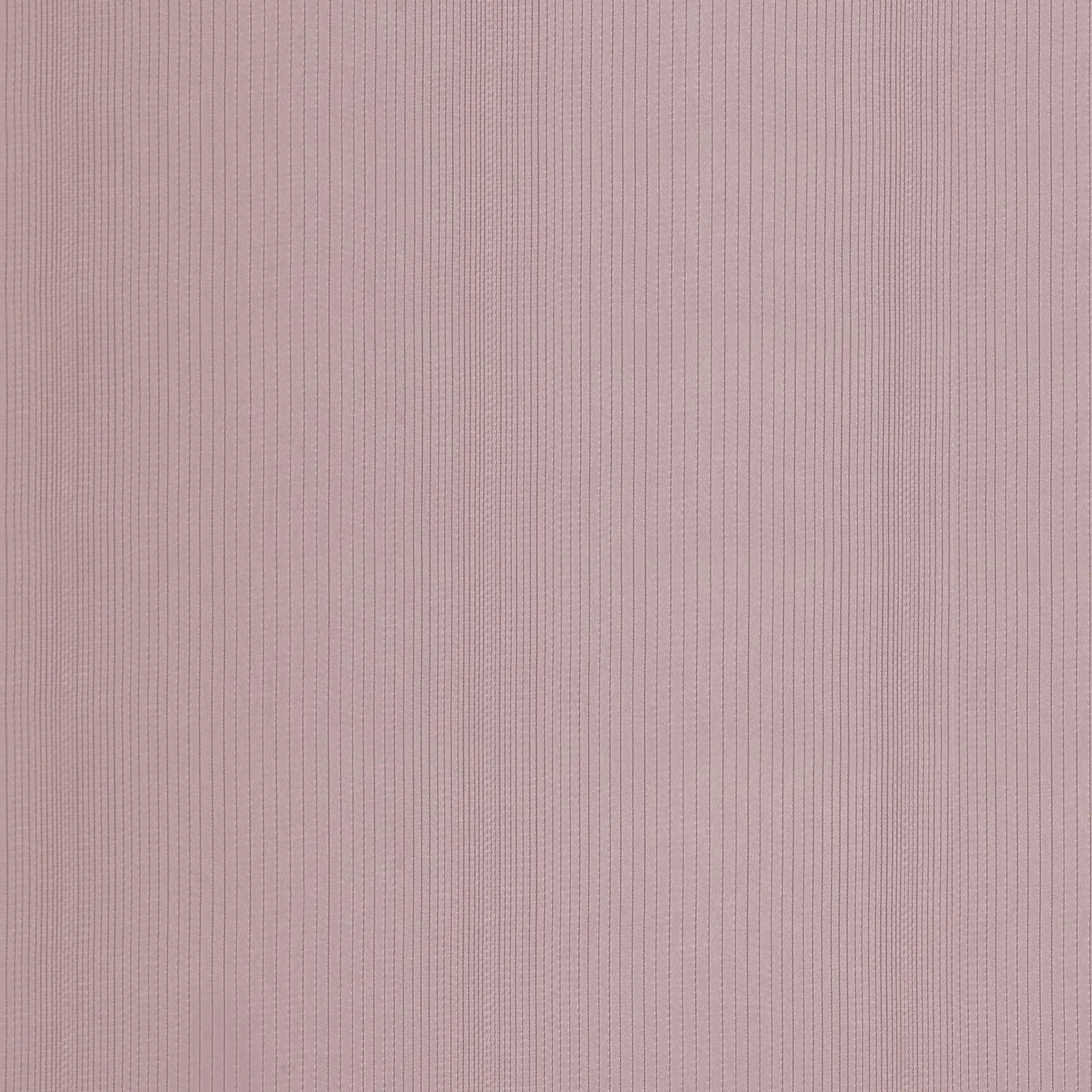 Orchid 18 | Morena