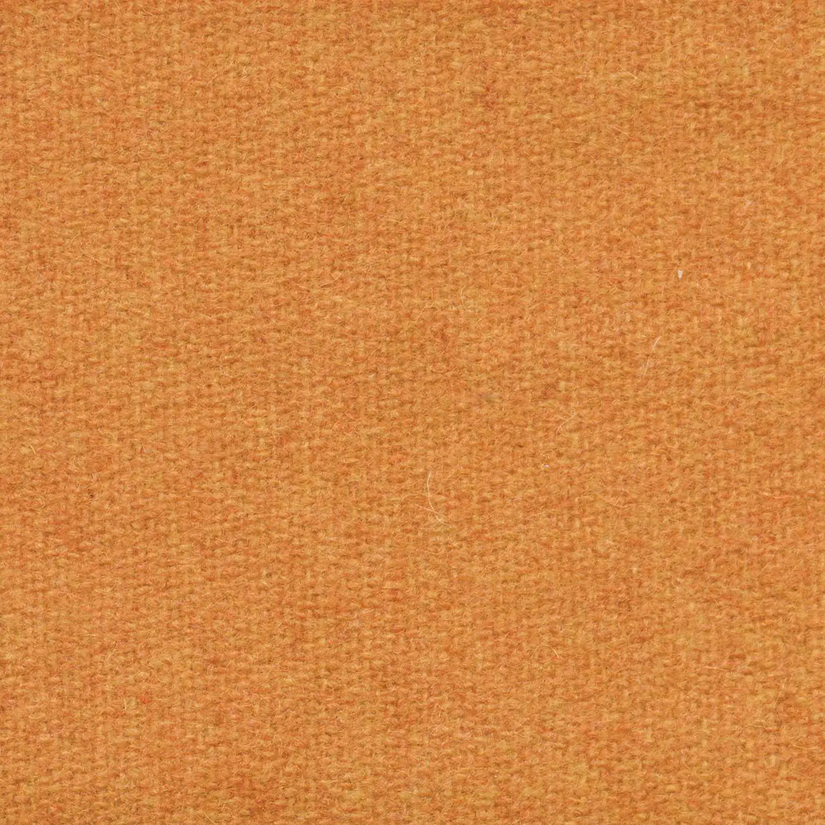 Tangerine 439 | Savoy FR