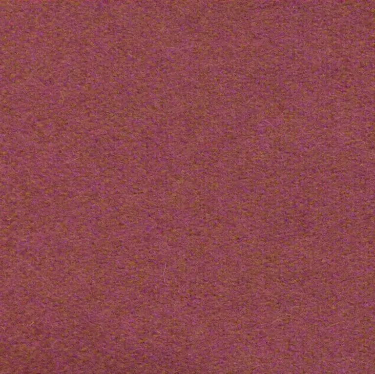 Sorbet 544