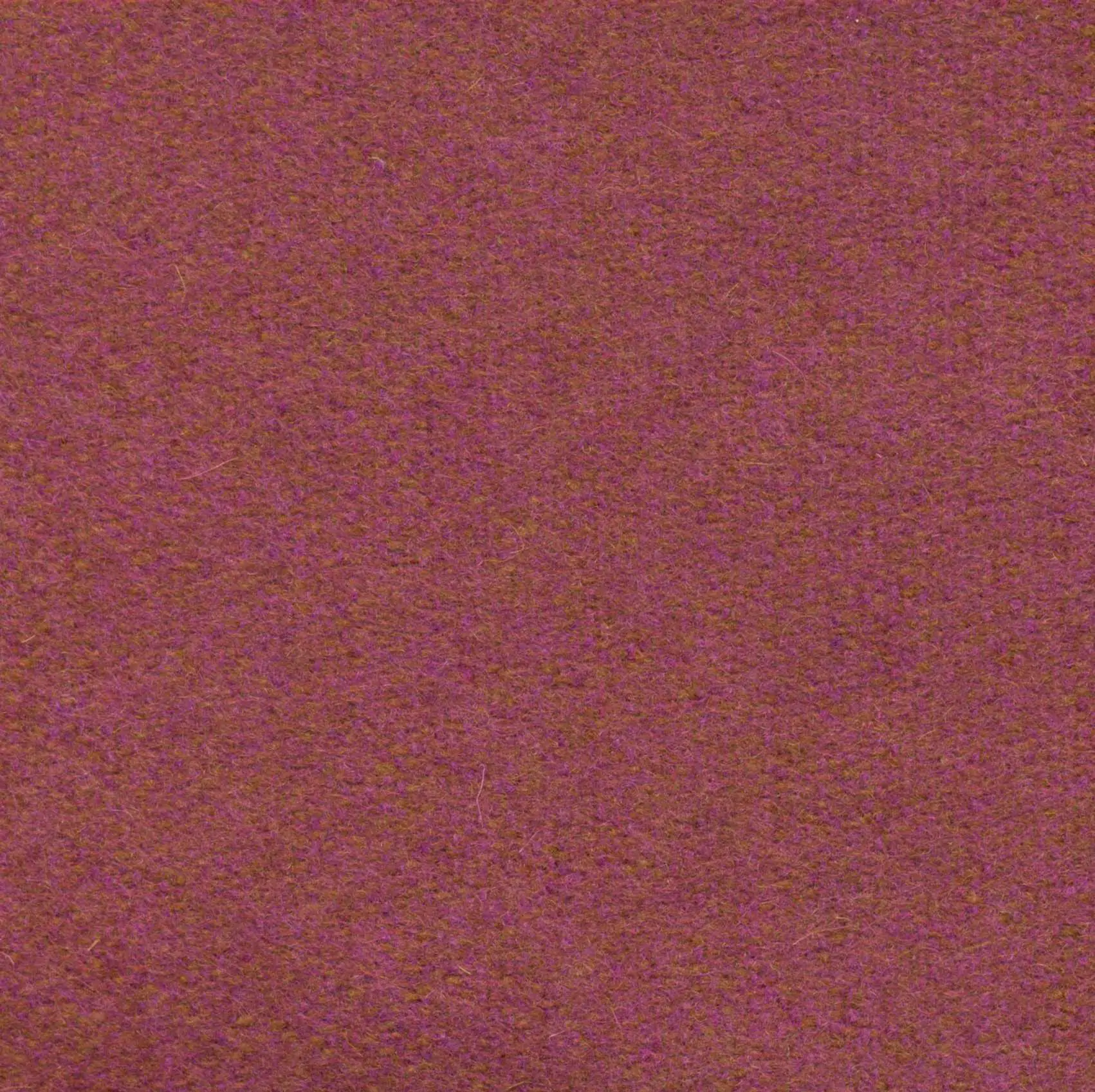 Sorbet 544 | Savoy FR