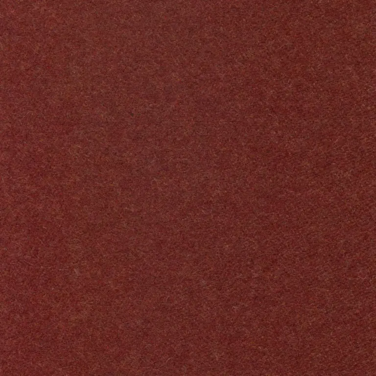 Vino 34