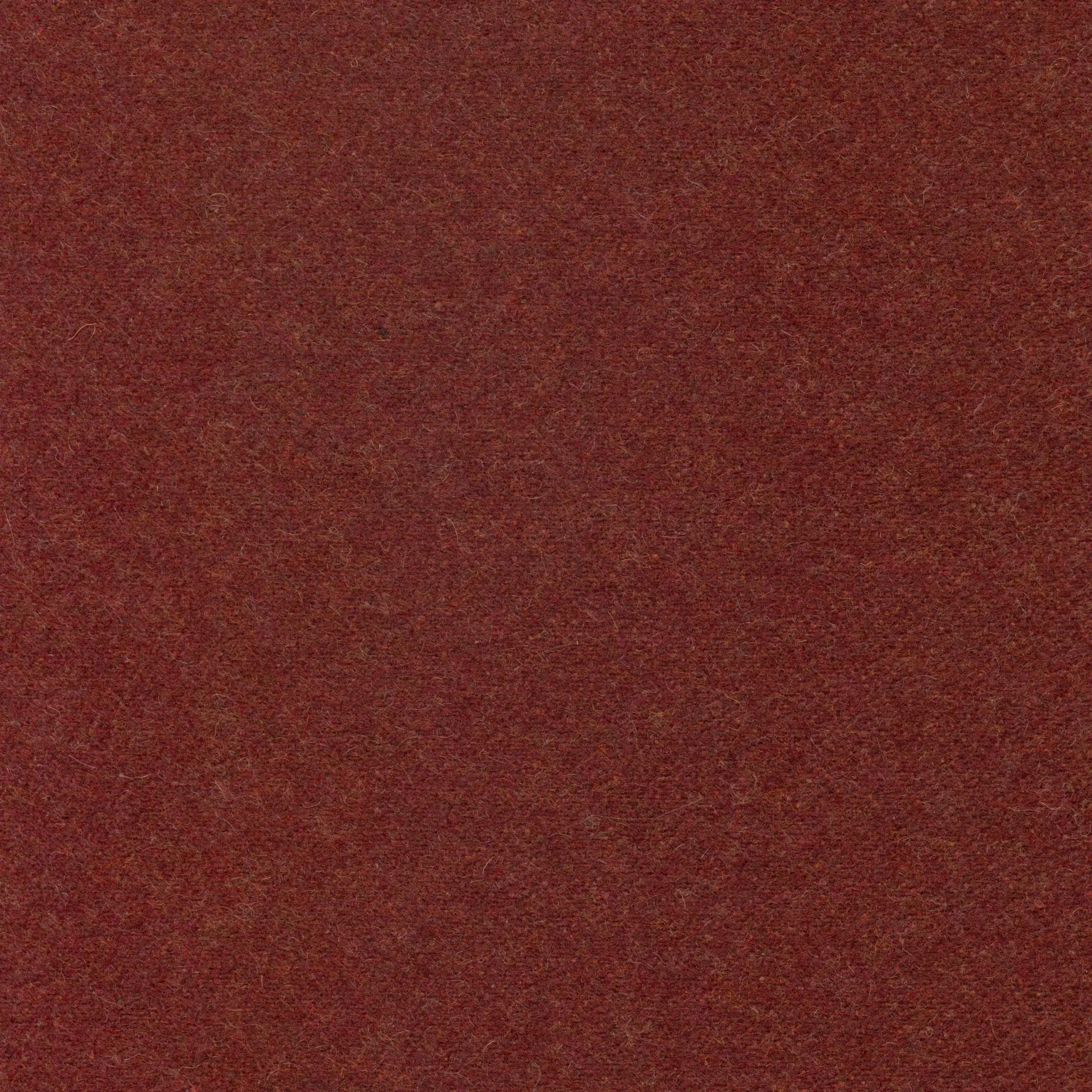 Vino 34 | Wool