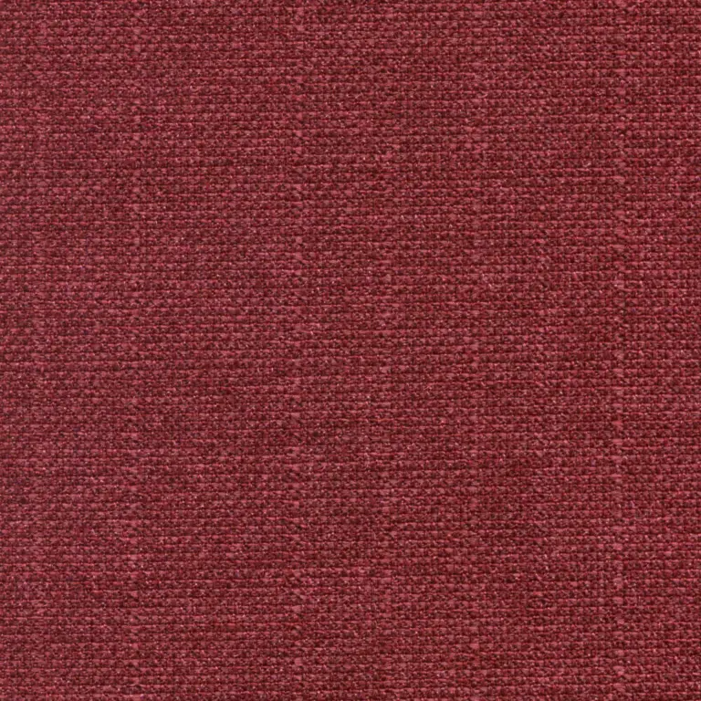 Vino 546
