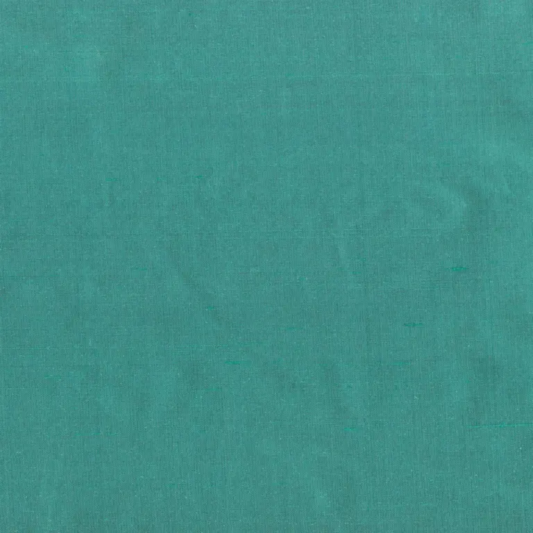 Duck 1542