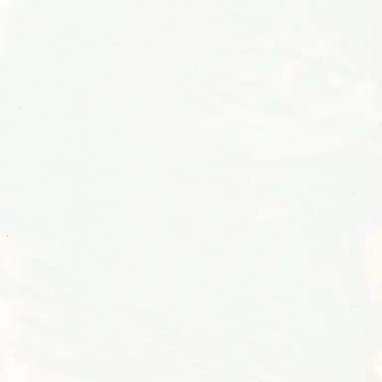 Ivory 02