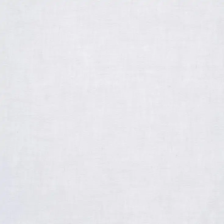 Ice 21
