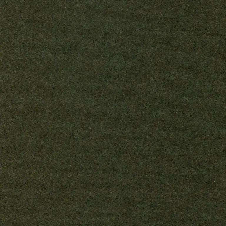 Olive 31