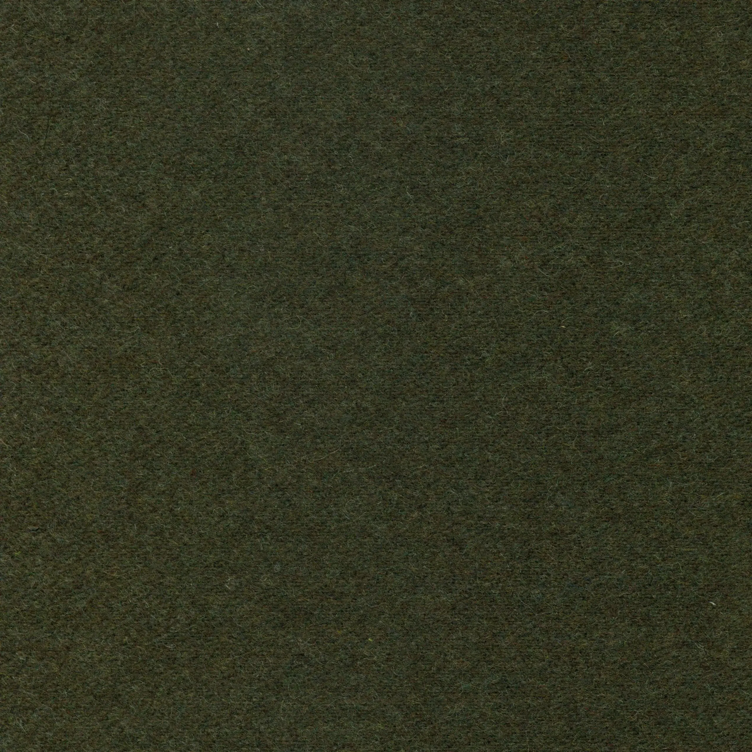Olive 31 | Wool