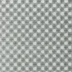 Silver 201 | Ostracion