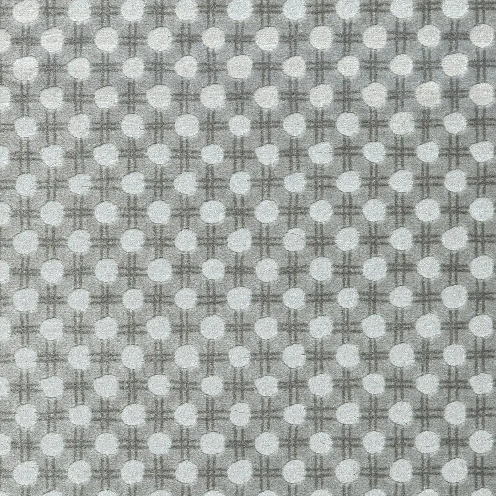 Silver 201 | Ostracion
