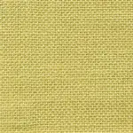 Wheat 24 | Salma