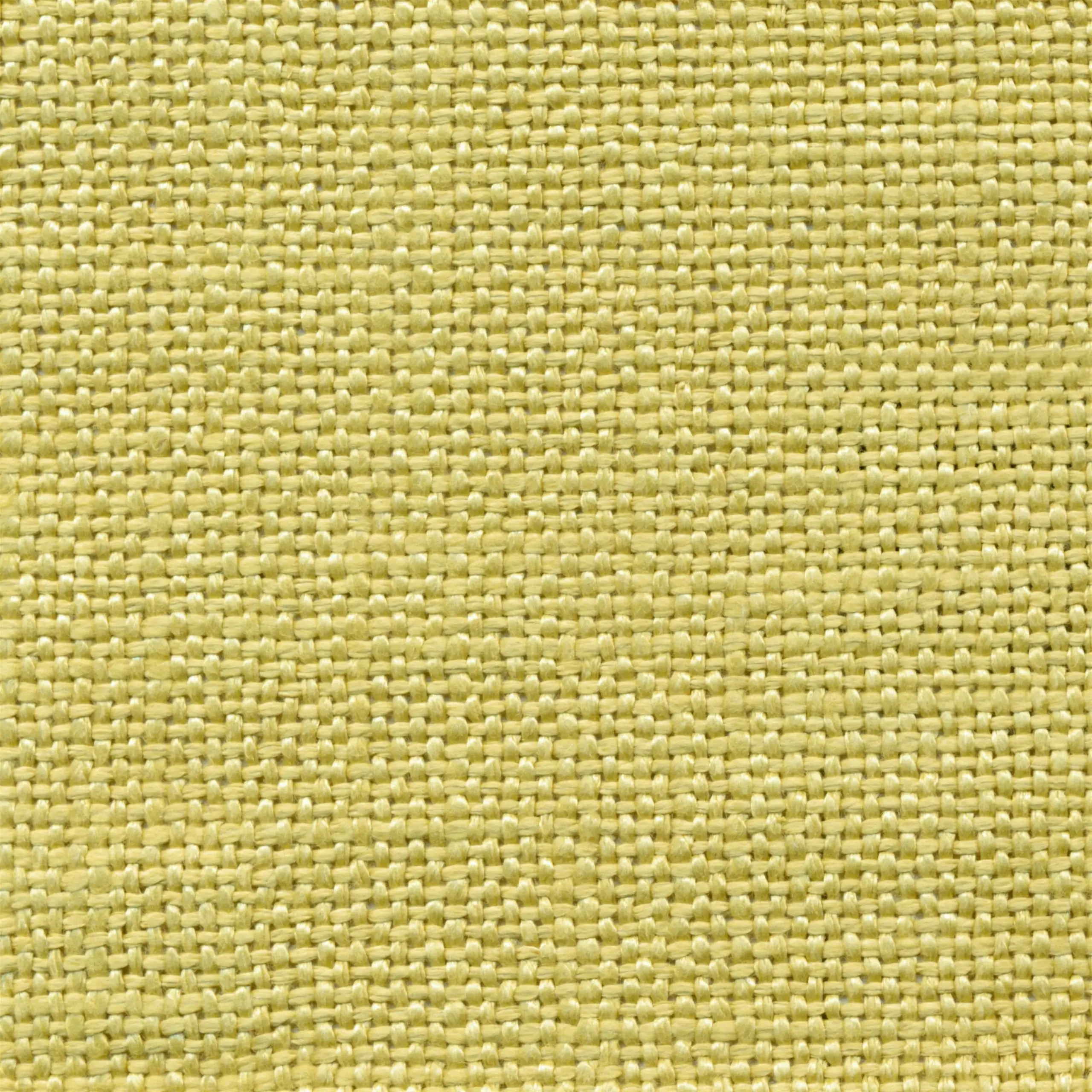 Wheat 24 | Salma
