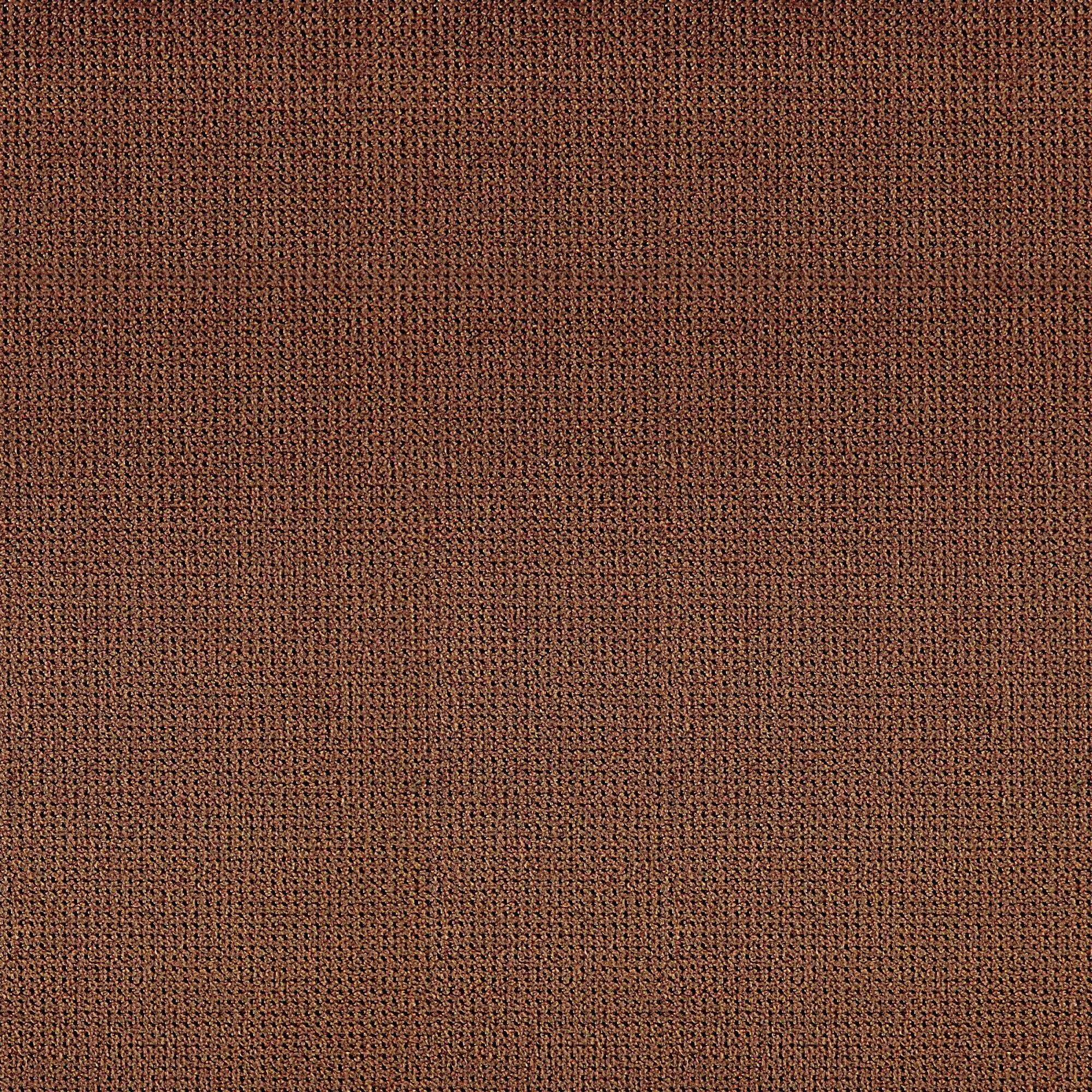 Pecan 047 | Macho