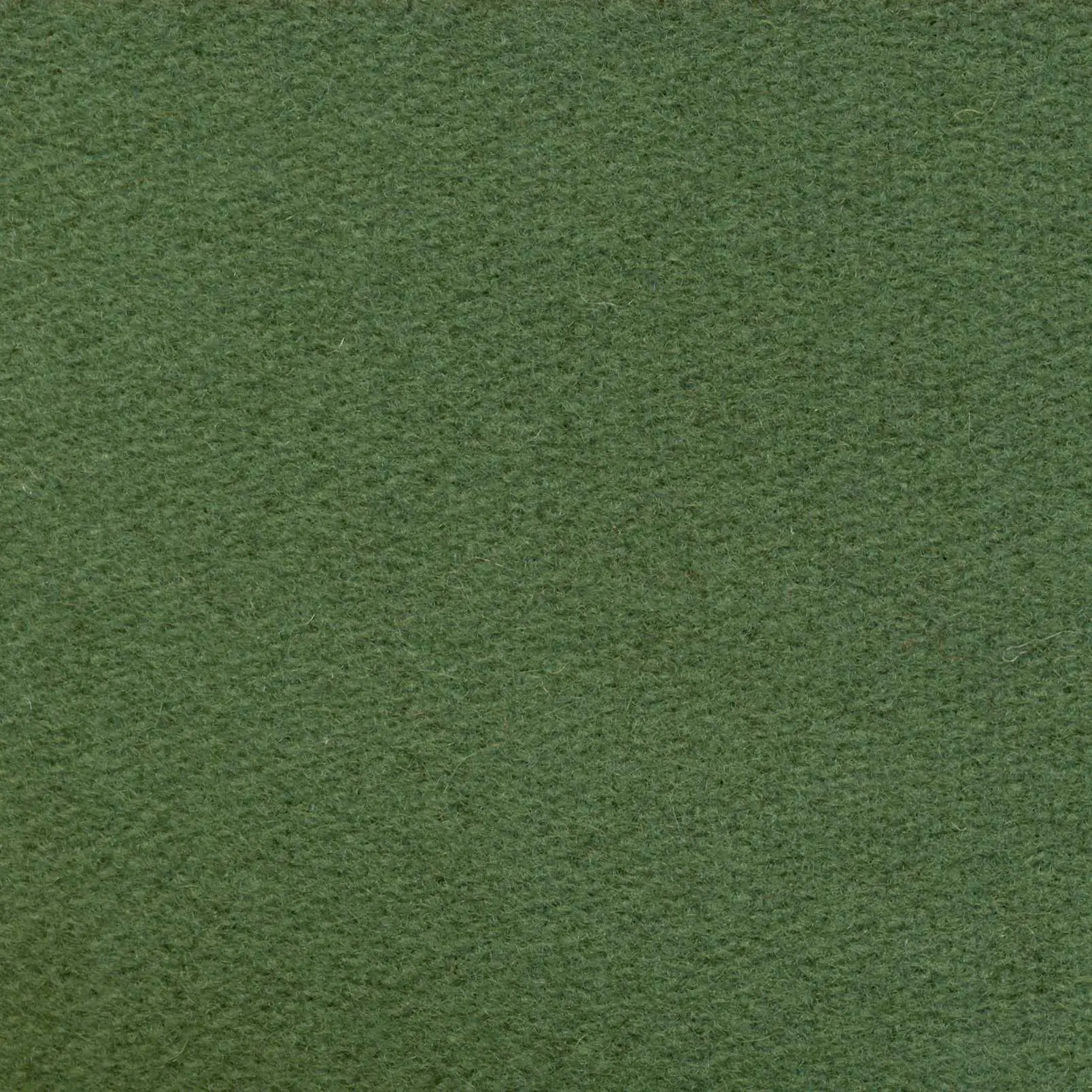 Sage H482 | Savoy FR