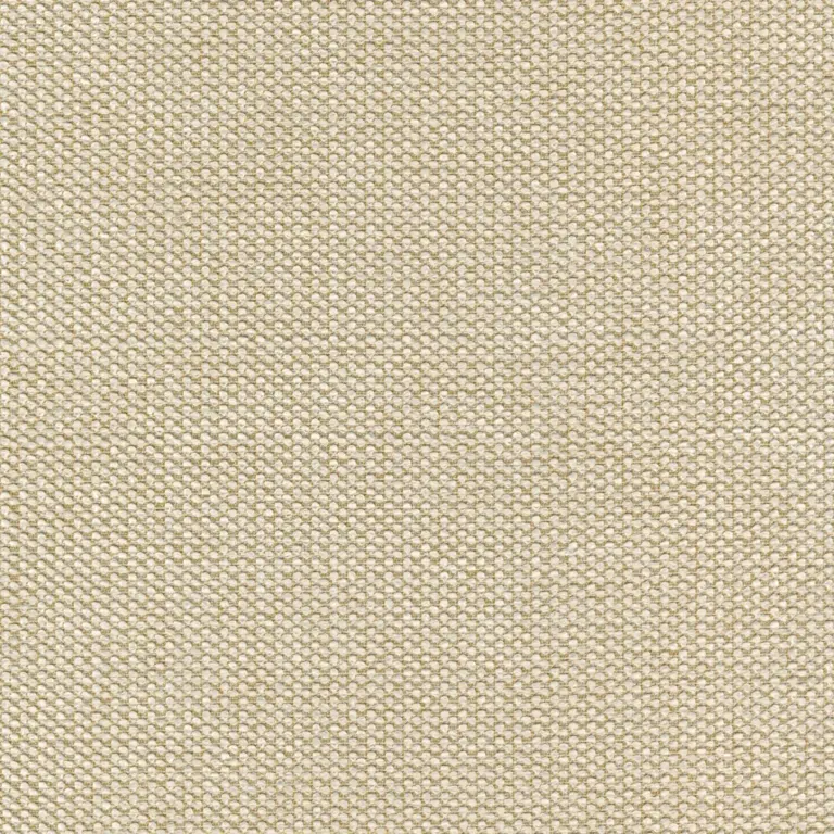 Raffia 09