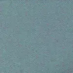Forget Me Not 550 | Savoy FR