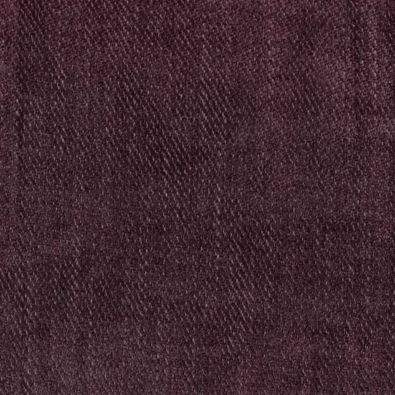 Aubergine 11