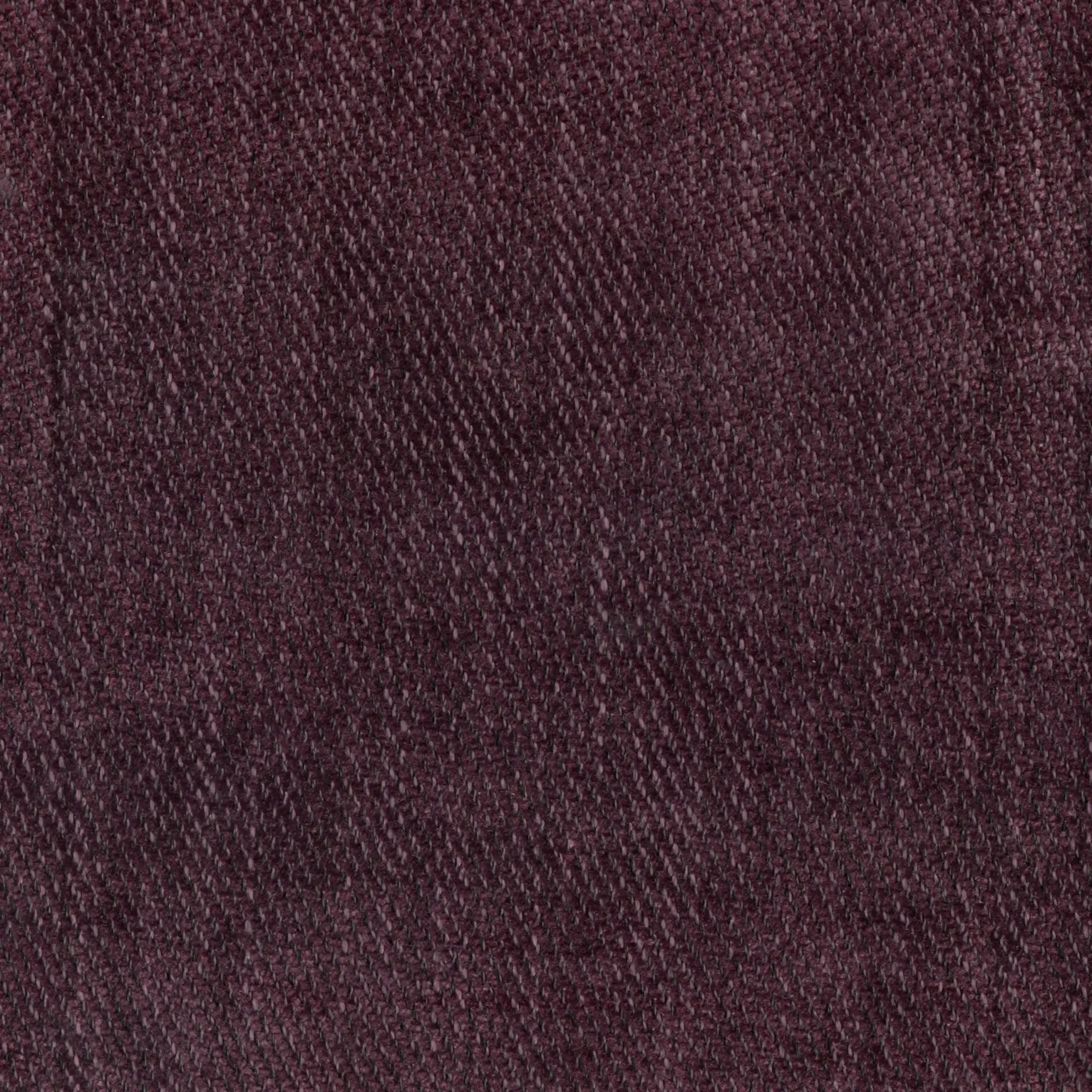 Aubergine 11 | Morgan