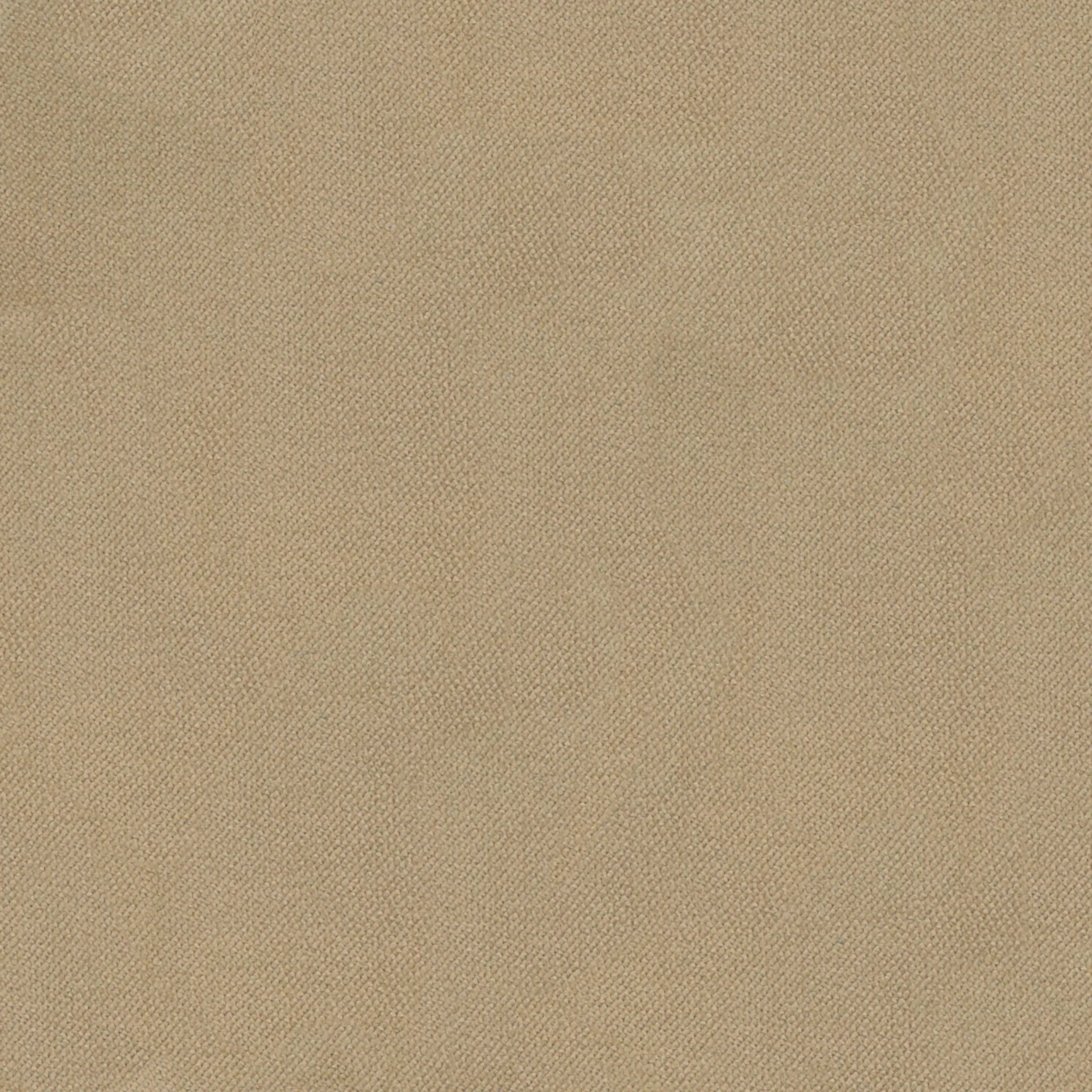Sesame 121 | Severin