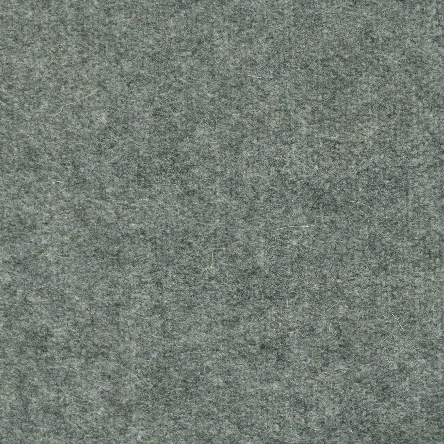 Grey 475 | Savoy FR