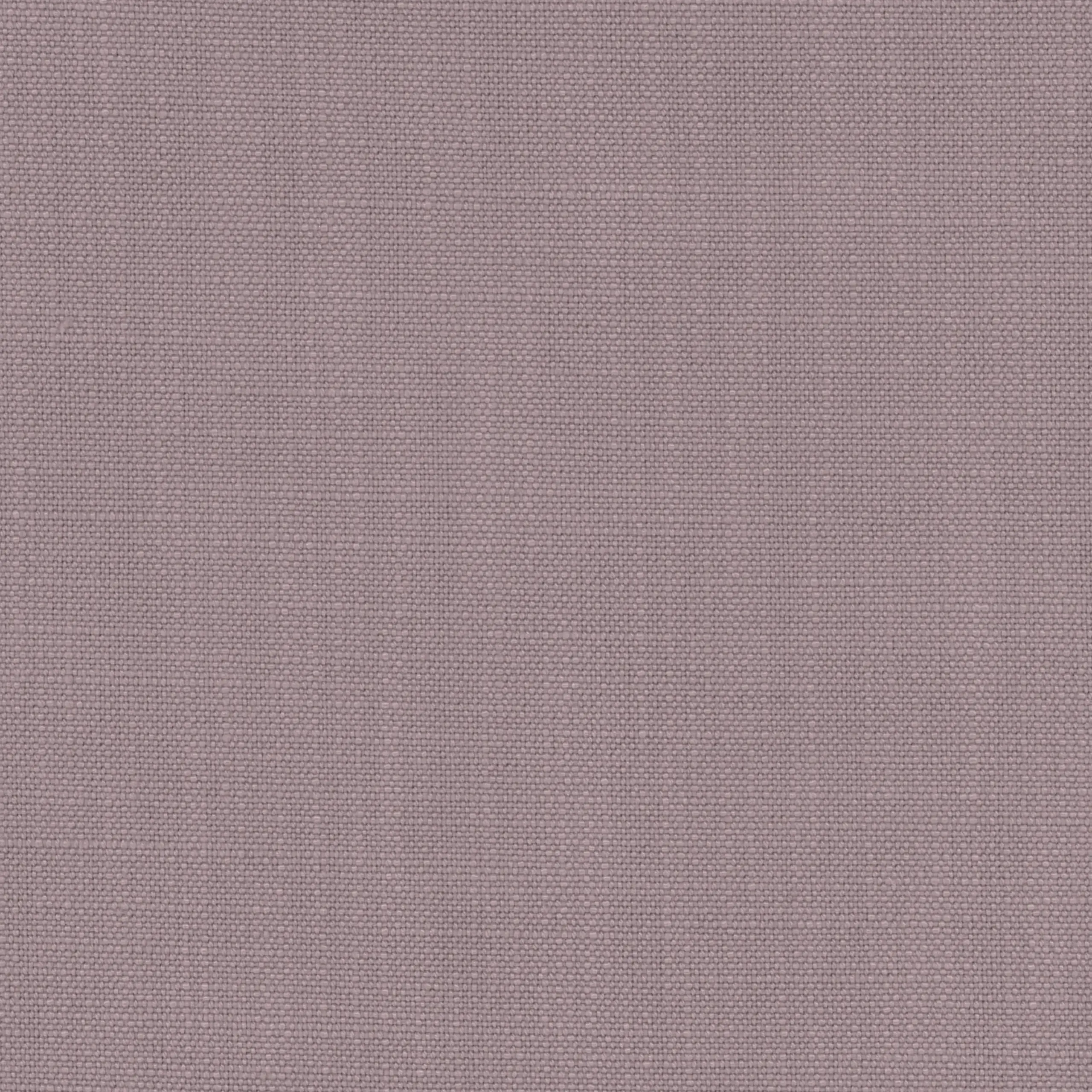 Lilac 70 | Morris