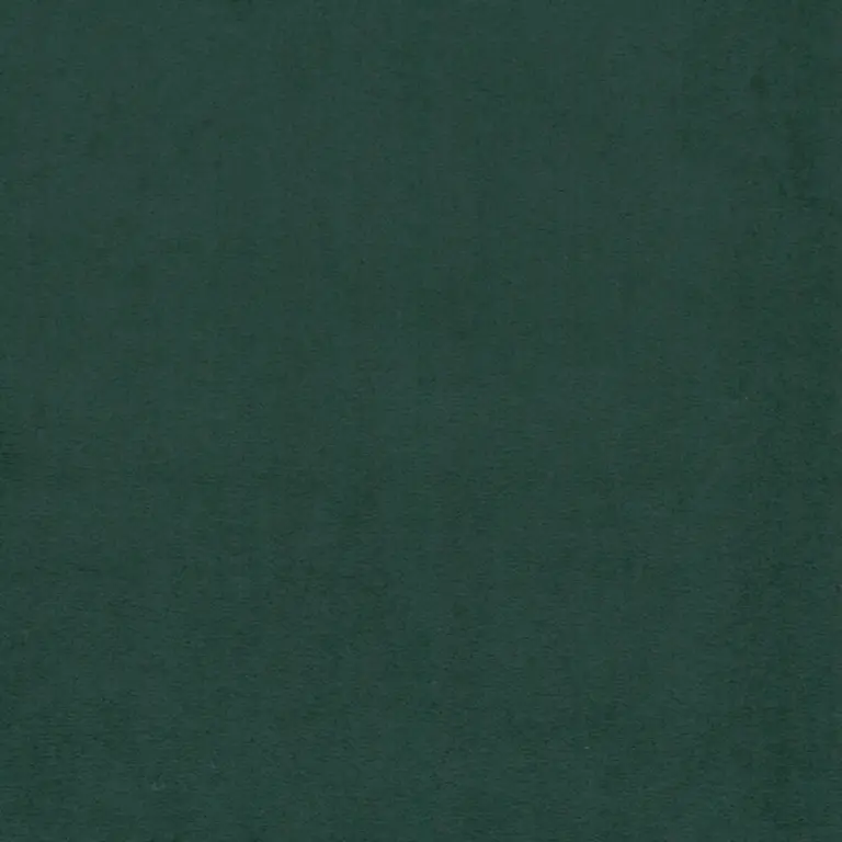 Thyme 11