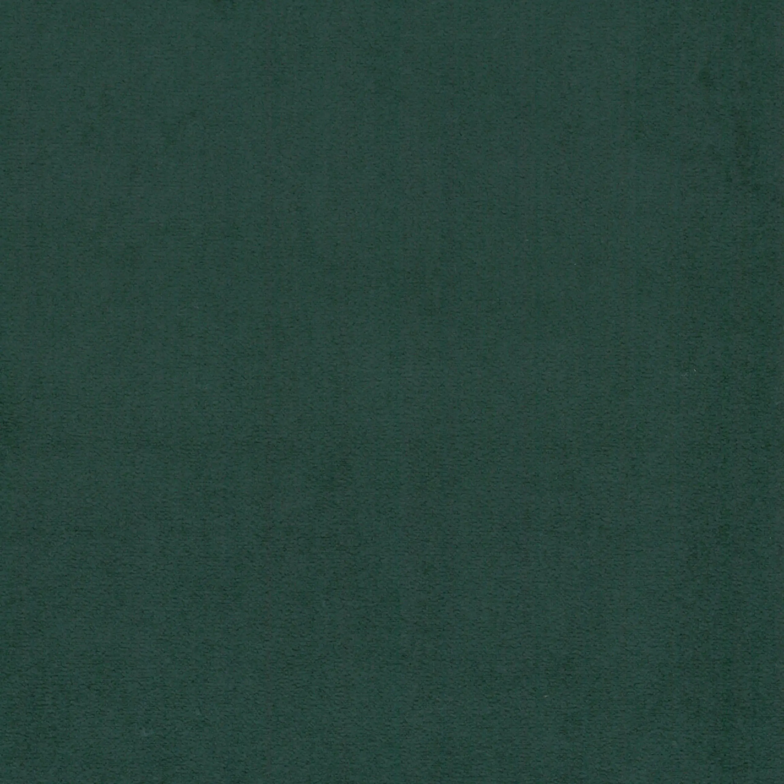 Thyme 11 | Scot
