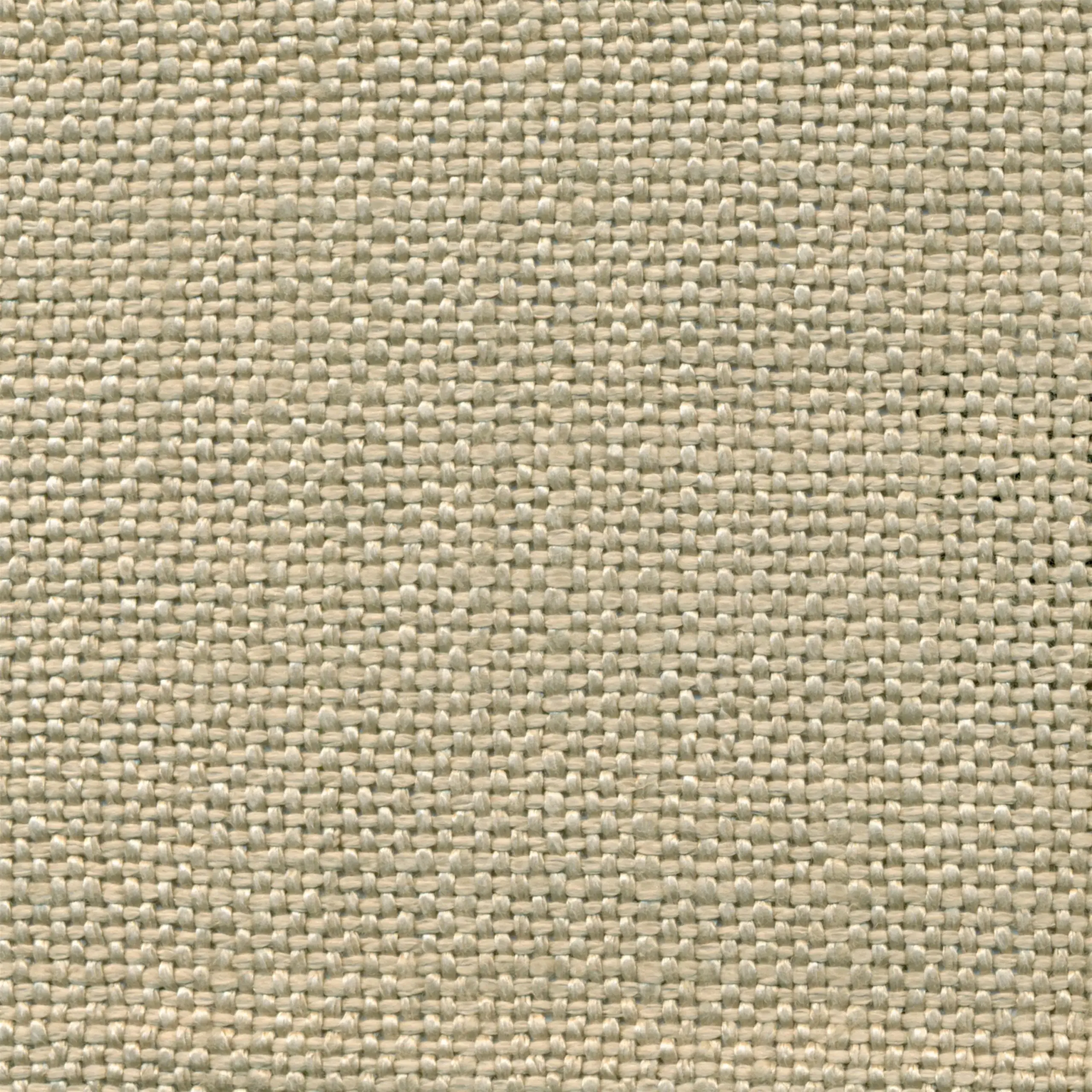 Sesame 5 | Salma