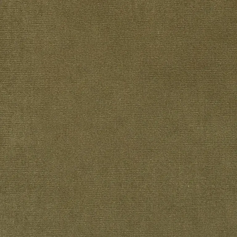 Iguana 04