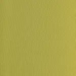 Turtle 07 | Salome