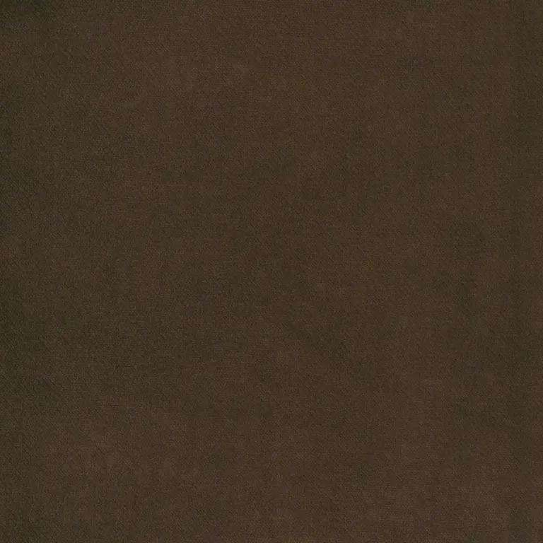 Brownie 20
