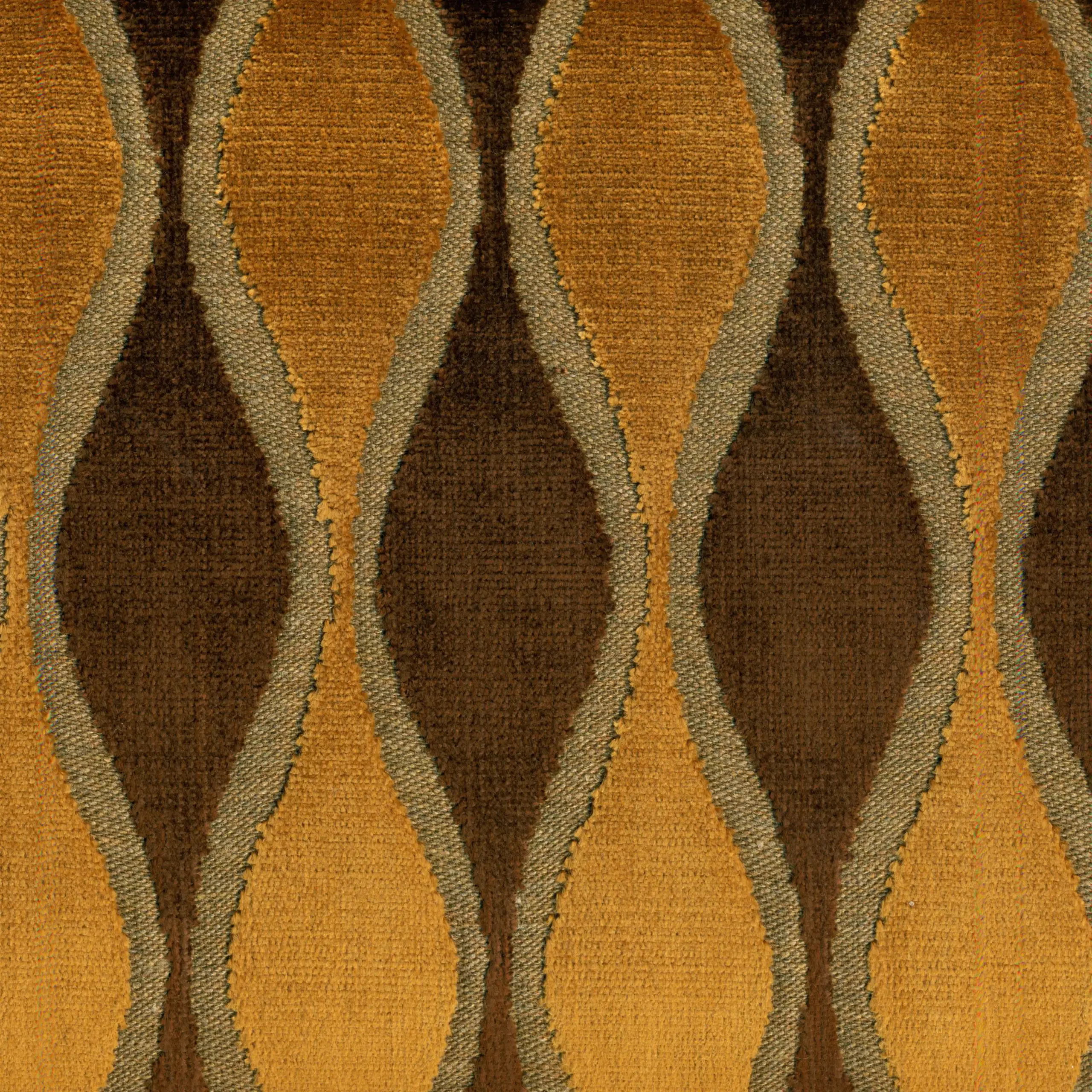 Brown 61 | Linda