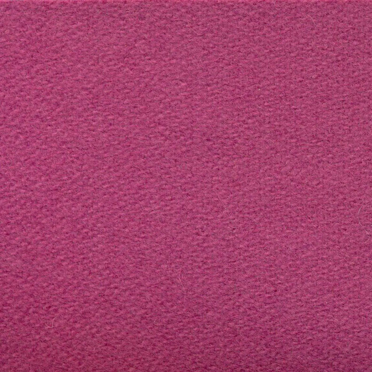 Peony H479 | Savoy FR